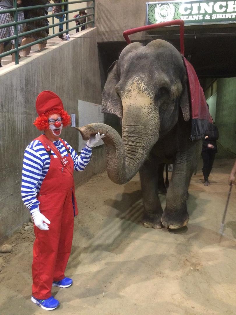Playing at the circus