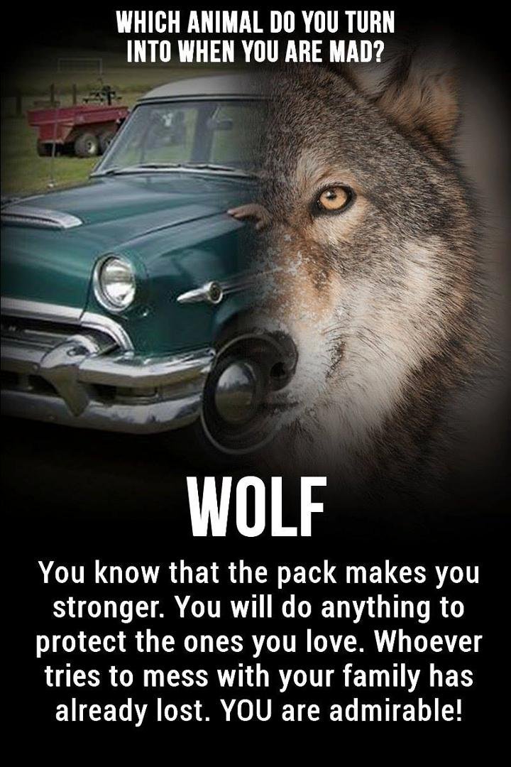 bert goodrich's album, Timeline Photos