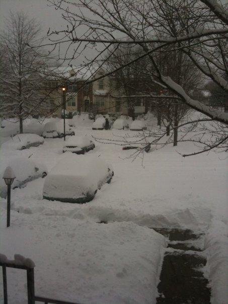 I still don't think that this much snow would constitute a snow day back in Gary.  I think I remember walking to school in snow this deep.