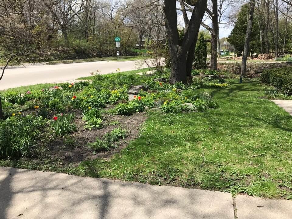 Tulips are up.  Garden will fill in soon