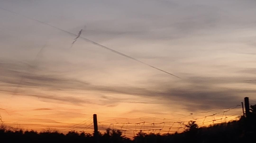 Thomas Small's album, Timeline photos