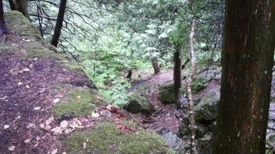 100_0044.JPG