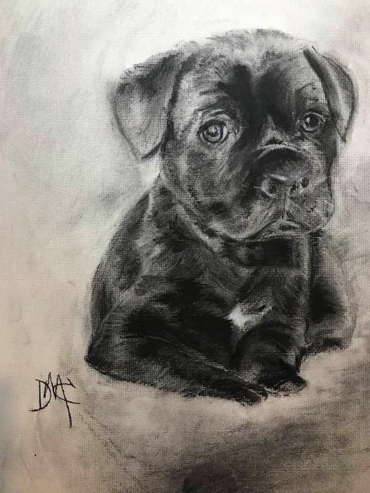 My latest art work for a Birthday girl; Lily, girl best friend!