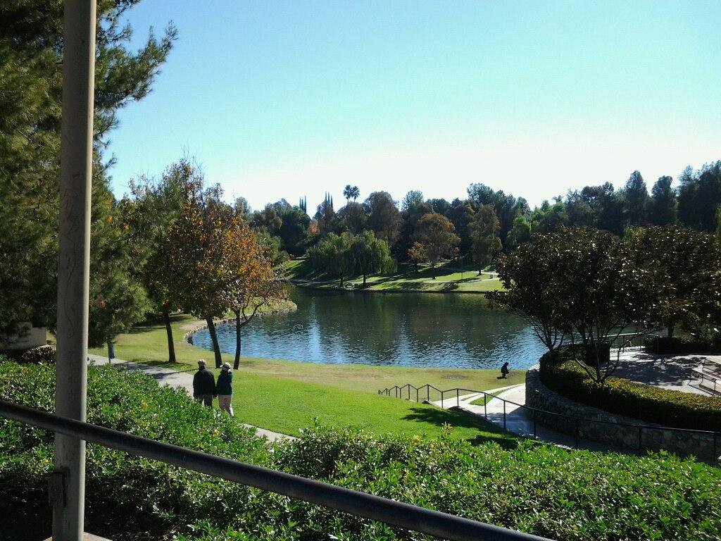 Pretty day at the park