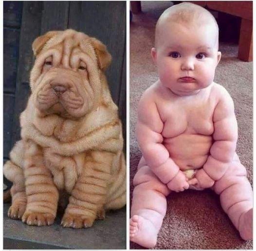 Can you Spot the Difference's . Thanks Doug this so funny.