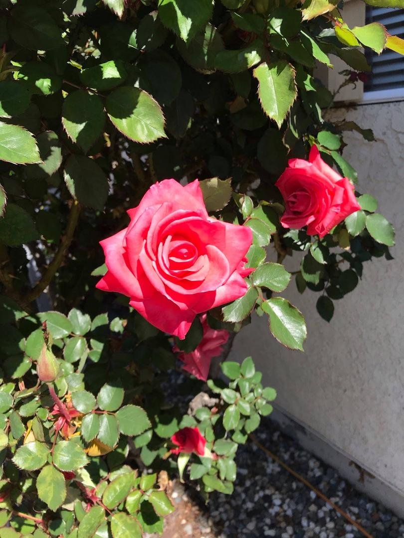 Phillip Long's album, Timeline Photos