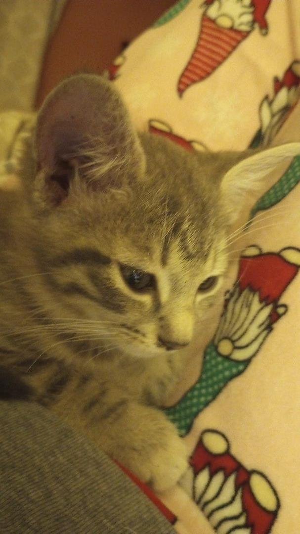 Brock Hall this is tigger