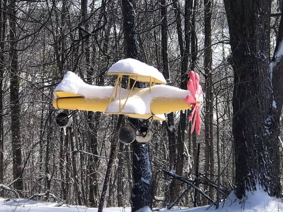 Not a good day for flying!