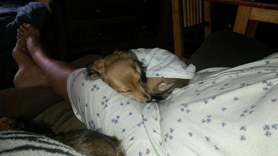 Gma and the puppy kicking back
