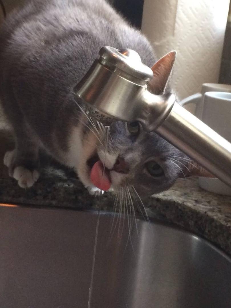 Guy Malaby's album, iOS Photos