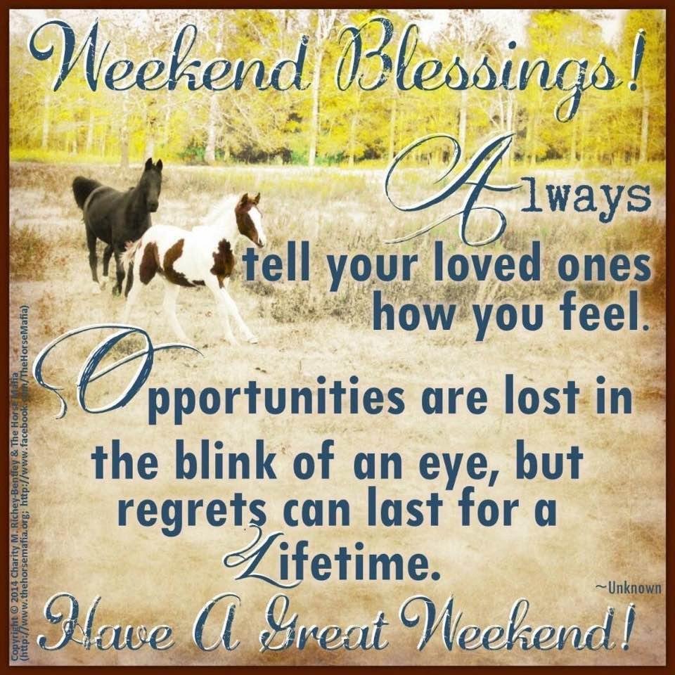 Morning enjoy your day