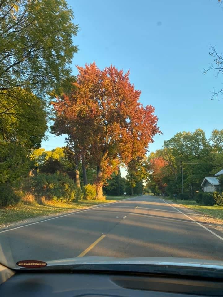 💖🥰 Michigan never disappoints 🥳🥳🥰🥰