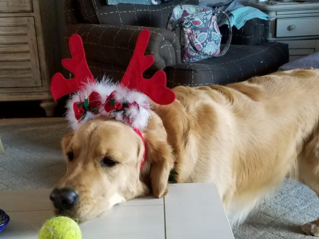I can't believe my mom is making me wear this!