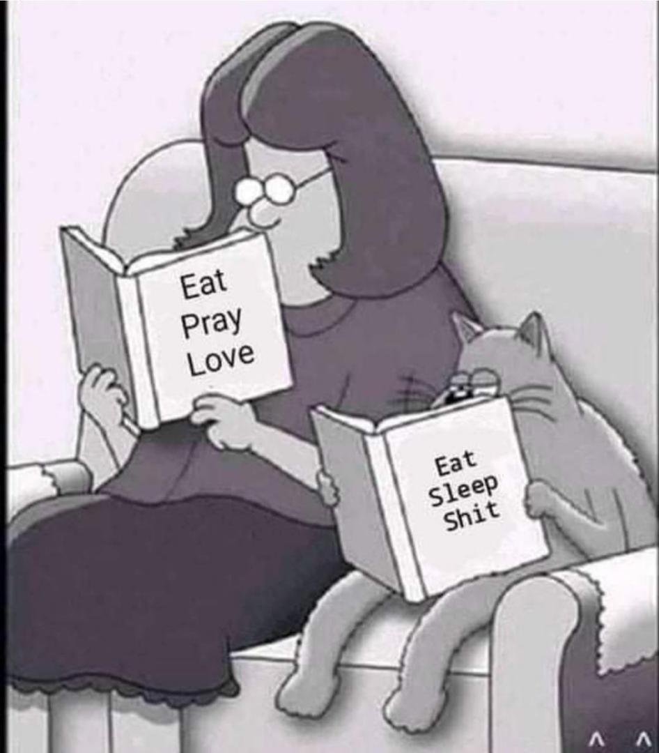 LITERALLY MY LIFE lol