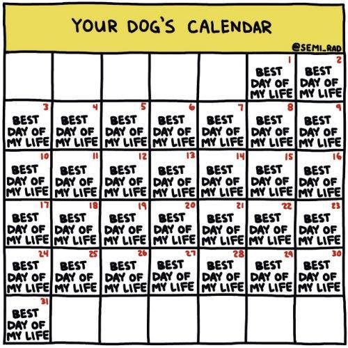 Michael Fein's album, Timeline Photos