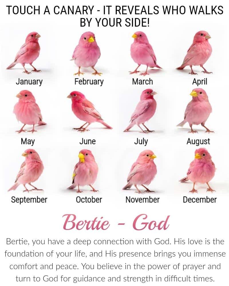 roberta Perry's album, Timeline photos