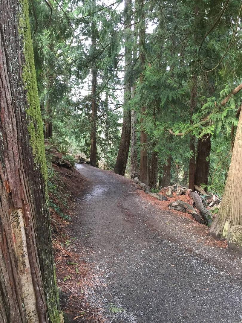 On the trail to the falls..