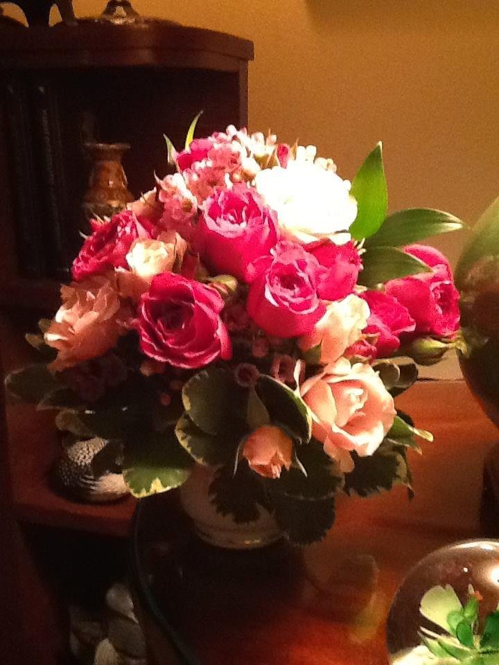 This was a surprise arrival today from my two loves. Andy, my precious son and Teresa Smrekar my darling daughter in-law. Sending love to both of you!
Thank you so much. You are so thoughtful.