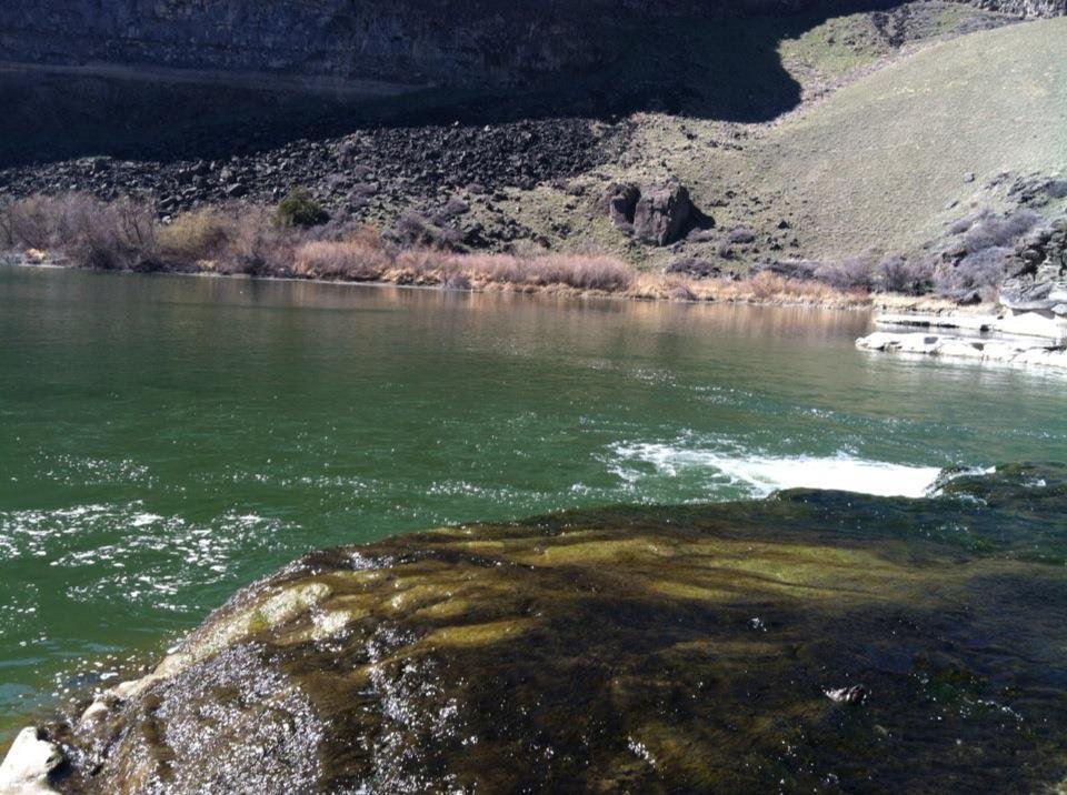 Fishing