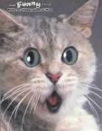 Robert Blakeslee's album, Bob's Funny Pic's