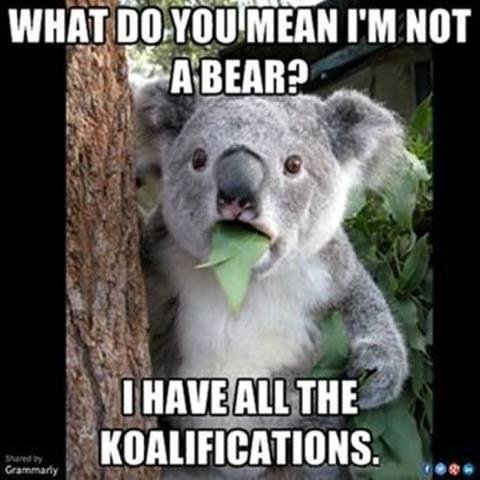 Rick Adams' album, Timeline Photos