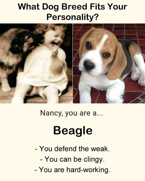 Nancy Kincl's album, Timeline photos