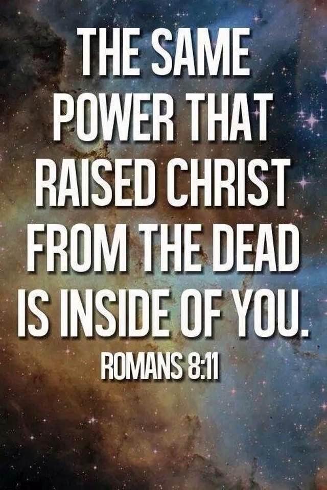 Ross Marshall's album, Timeline Photos