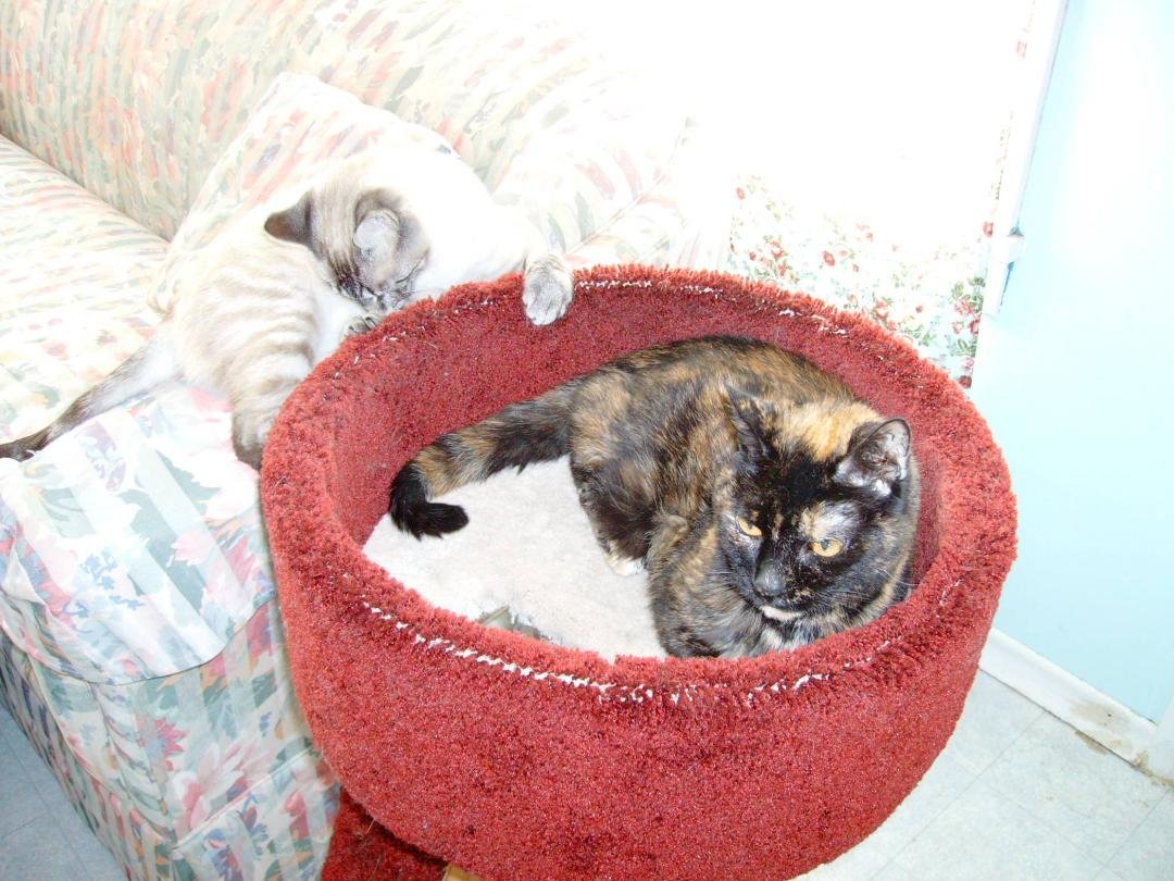 Tabitha and Jessica in 2009