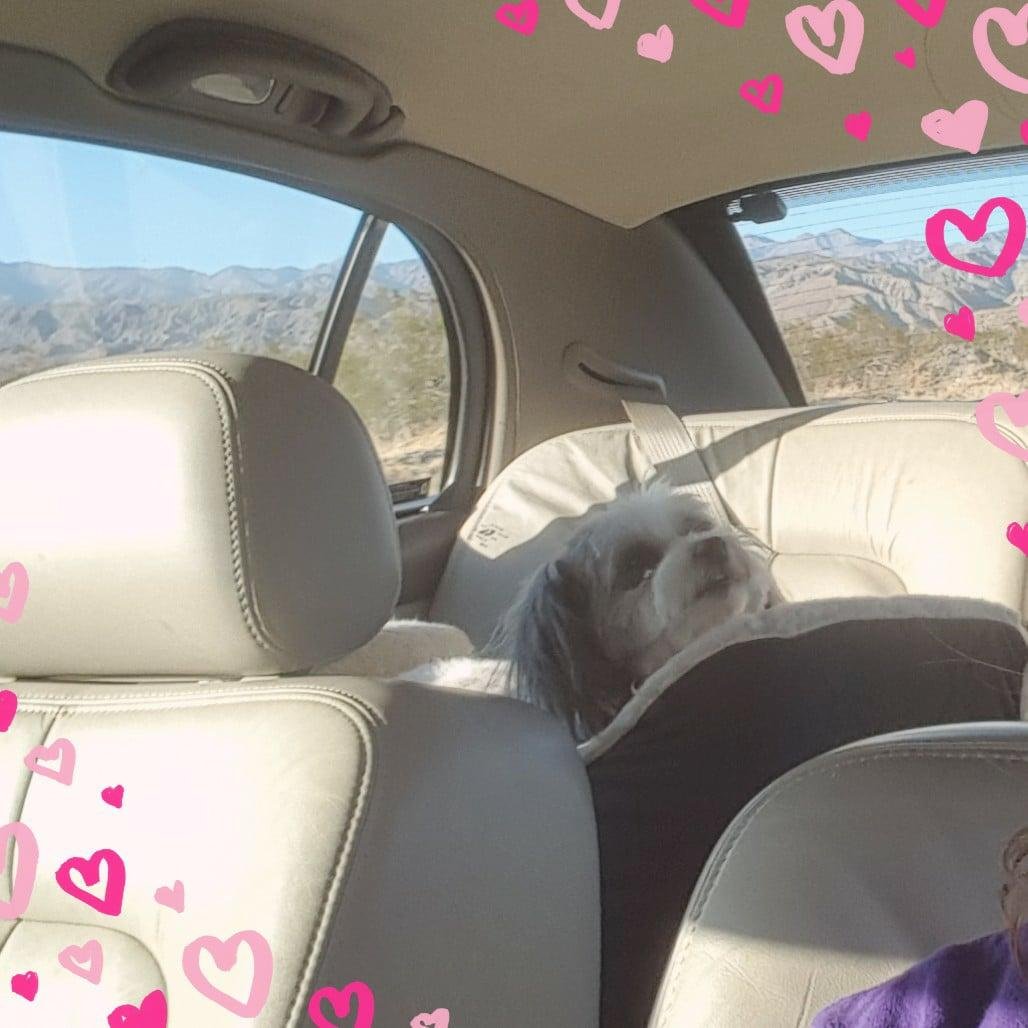 Riding in the car with Mom.