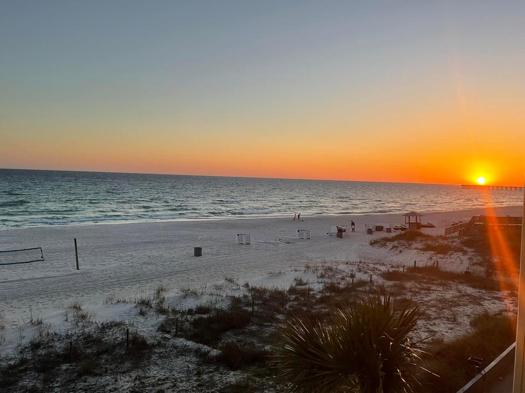 Diane Rasberry's album, Mobile uploads