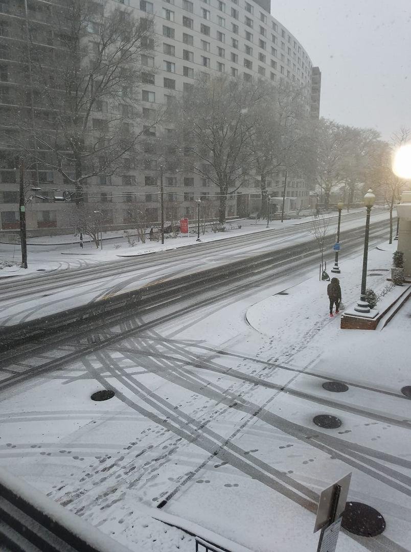 First day of spring in DC