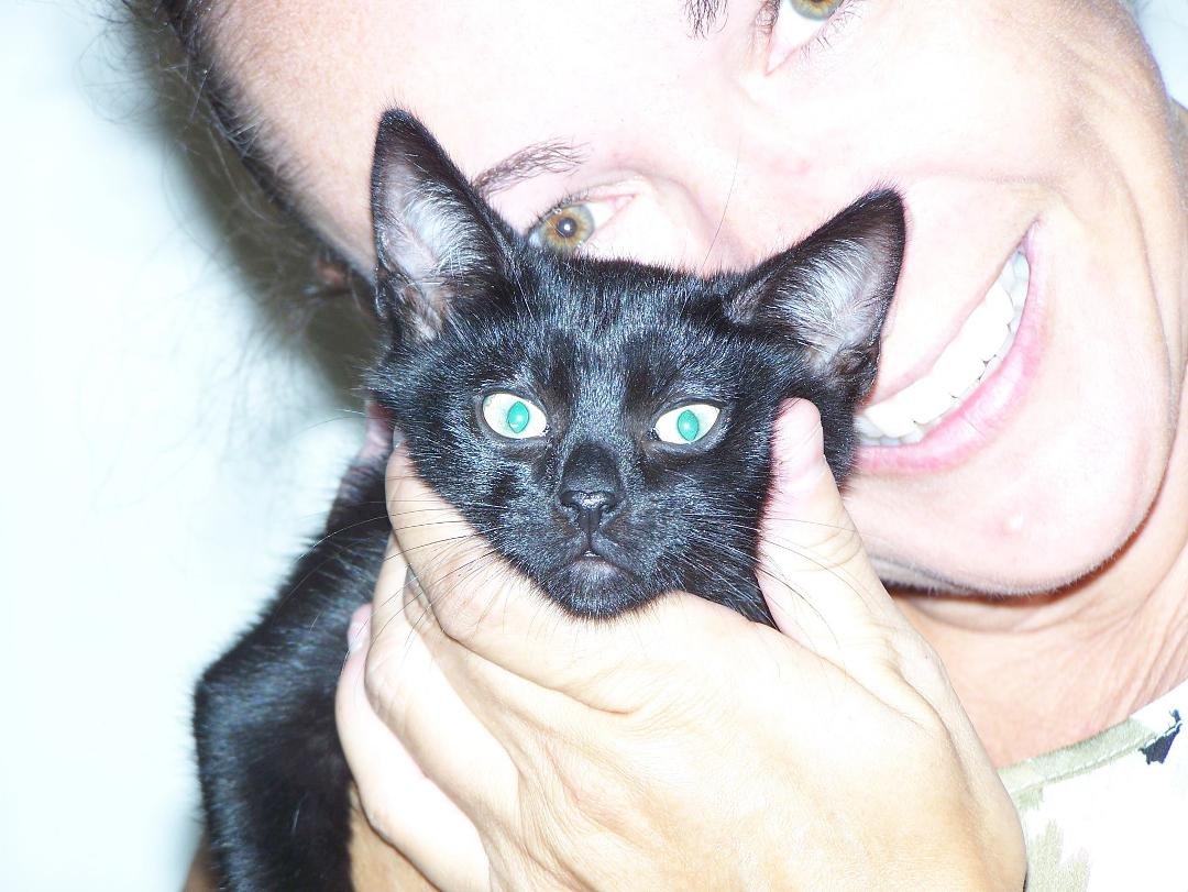 Libby's new kitten ...we're waiting on a name to fall from the sky. Any suggestiions?