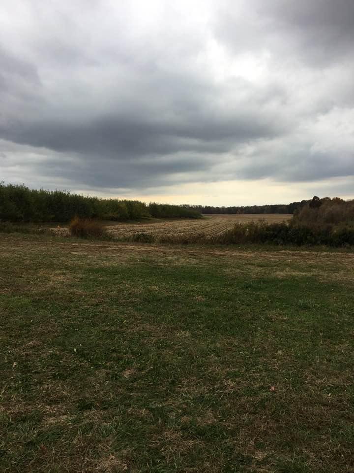 Monmouth Battlefield State Park. Early Autumn Manalapan, NJ.