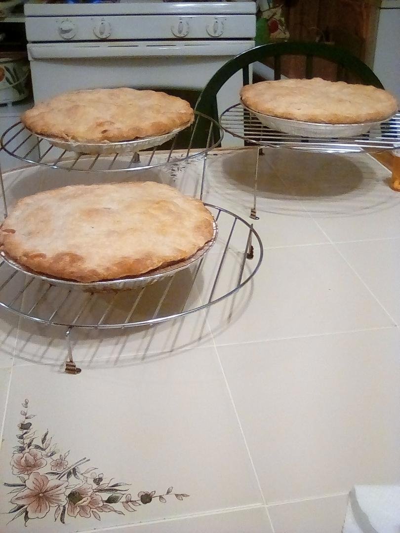 2 rhubarb pies and 1 strawberry rhubarb pie. Thank you John Pulawski for the rhubarb.