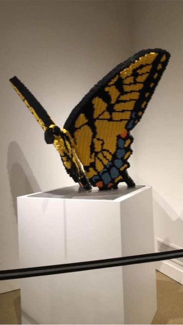 Kaicy, remember this! Lego butterfly!!