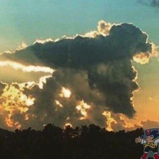 I had to share this photo that I got from Joe Regan......
Go Pats !!!