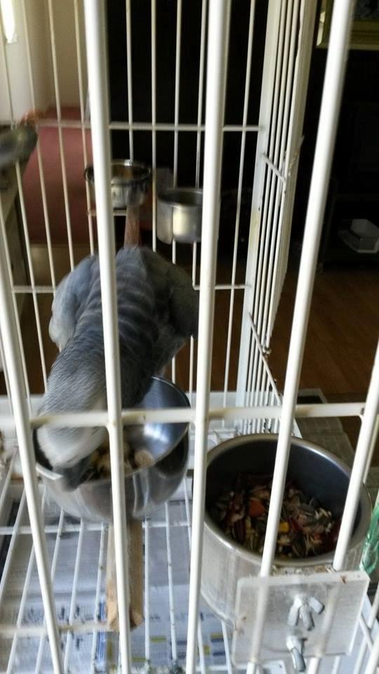 My new buddy