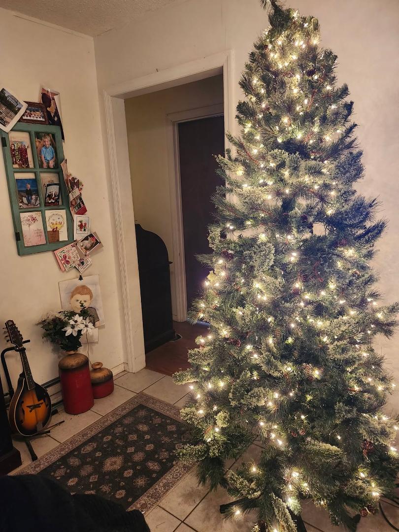 Starting to decorate my tree... 🎄