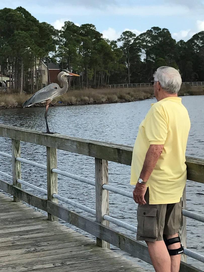 Brother Don feeding the bird at Baytown Warf