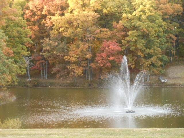 I love looking out at the lake at this time of year!