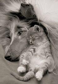 Incredible love!