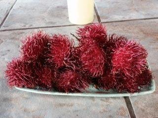 To all my friends and nephew Seth David Griep who knows my obsession with Lycées, I found them.  Yummy