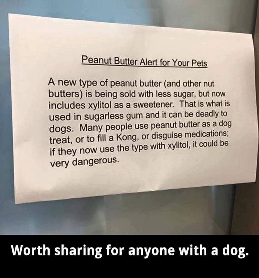 Important info for dog owners:
