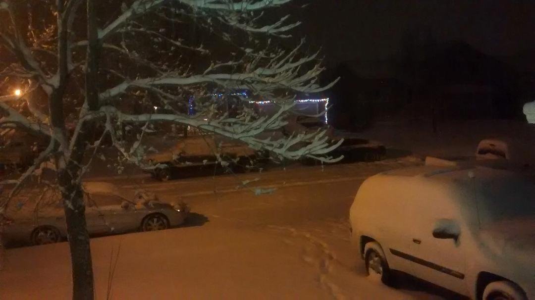 Looking out the front door.