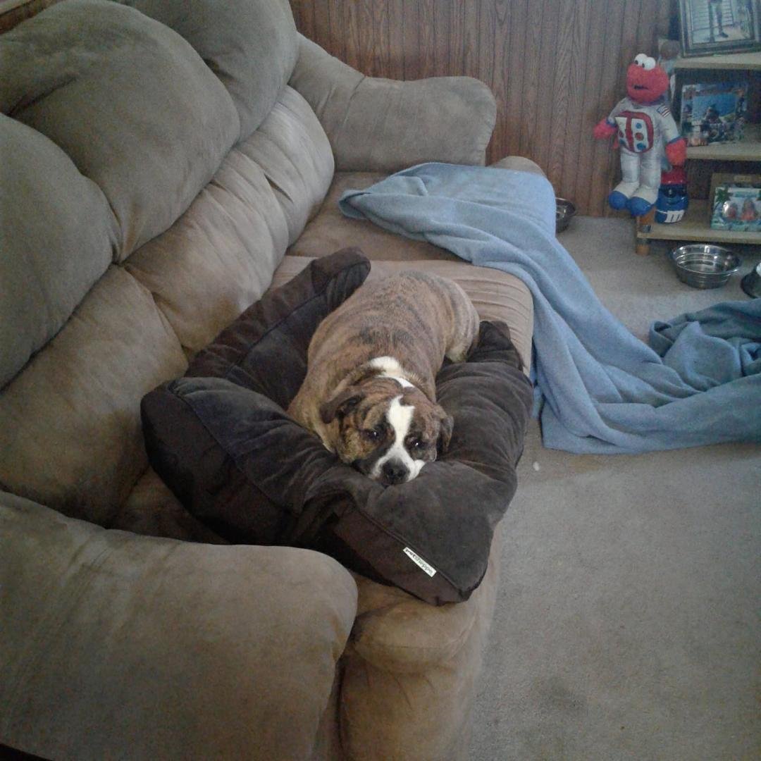I think he finally gets what this is for.