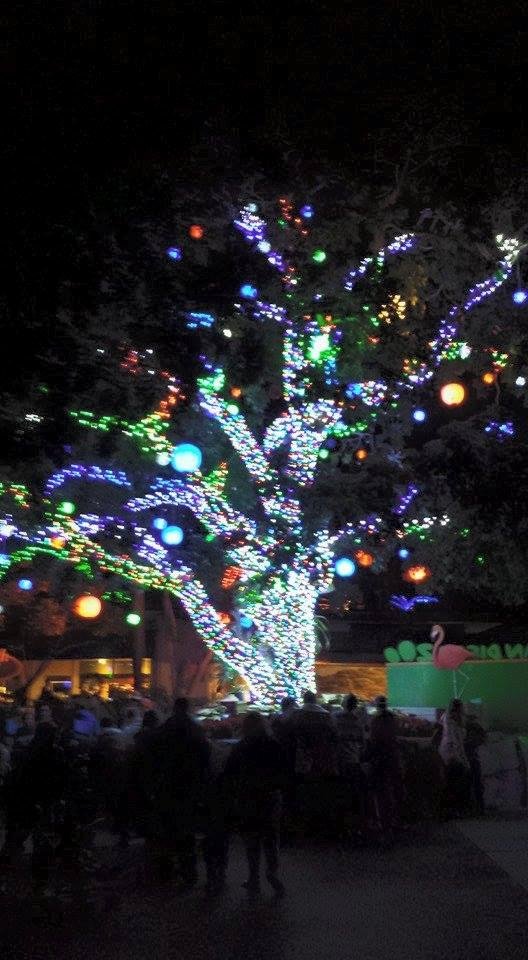 Beautiful Christmas tree at San Diego zoo.