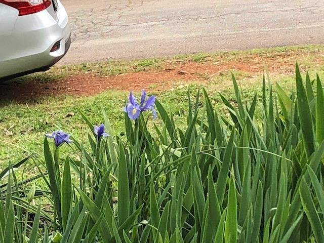 Dave Clark's album, Timeline Photos
