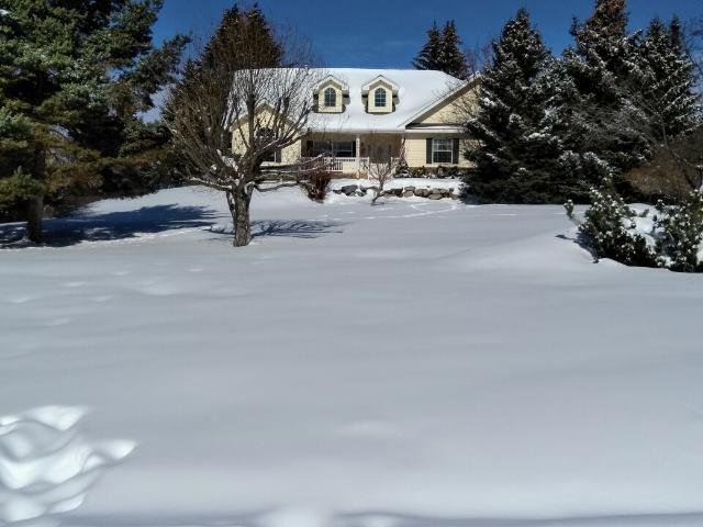 Usually I am thinking about mowing at this time, but not this year.