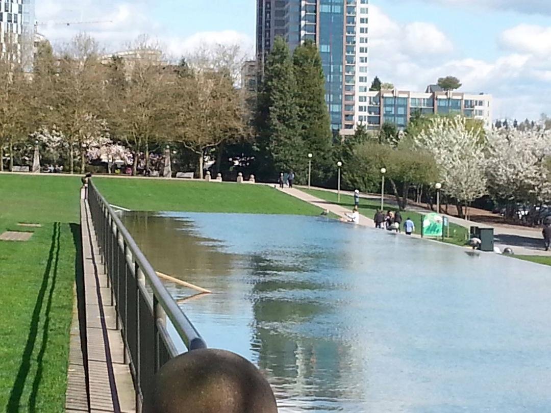 Downtown Bellevue.