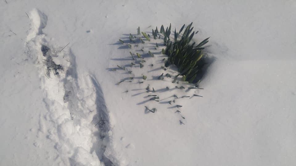 Mike Strothotte's album, Mobile Uploads